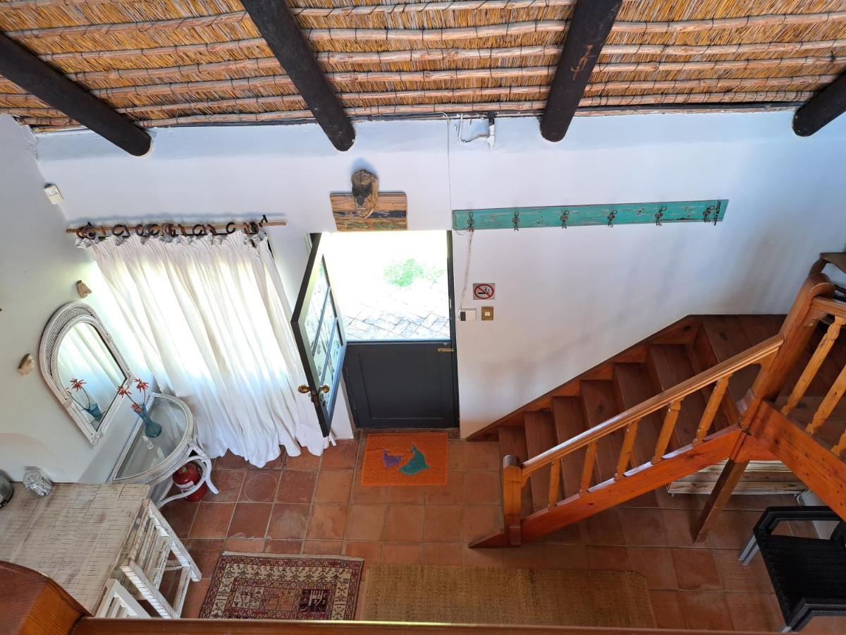 Starfish Accommodation Struisbaai Ngoại thất bức ảnh